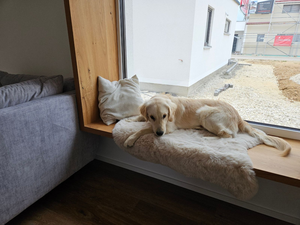 Sitzfenster